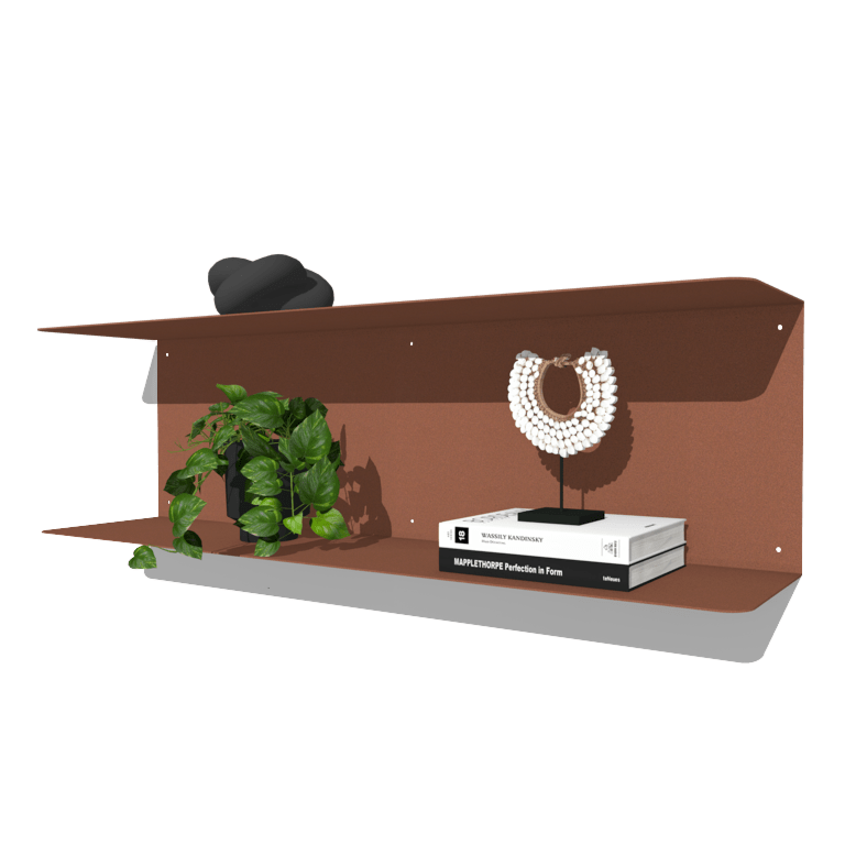 Milteliniu būdu dengta plieninė pakabinama lentyna C formos 100 x 20 cm