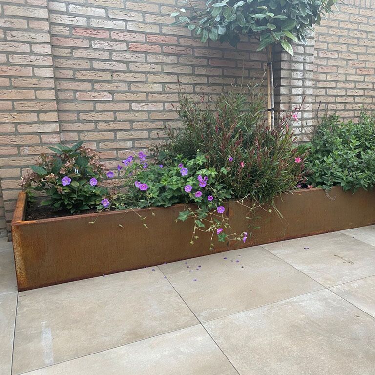 Corten plieno atraminė sienelė tiesus 200 cm (aukštis 30 cm)