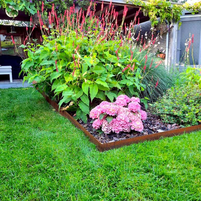 Corten plieno sodo apvadai tiesus 15 cm (ilgis 240 cm)