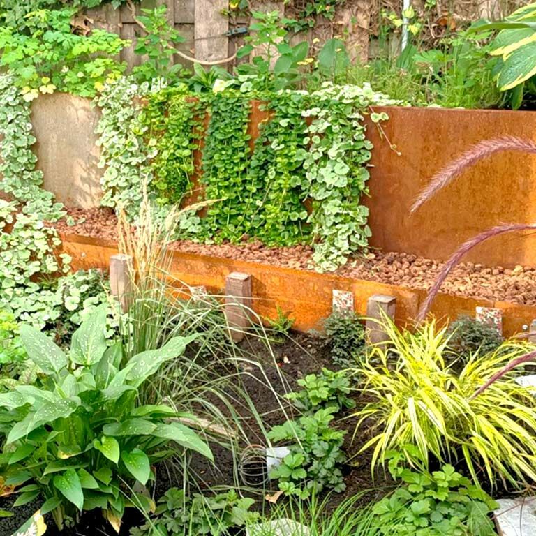 Corten plieno sodo apvadai tiesus 25 cm (ilgis 150 cm)