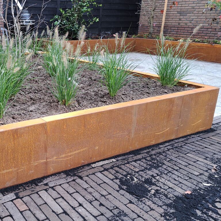 Corten plieno atraminė sienelė tiesus 150 cm (aukštis 40 cm)