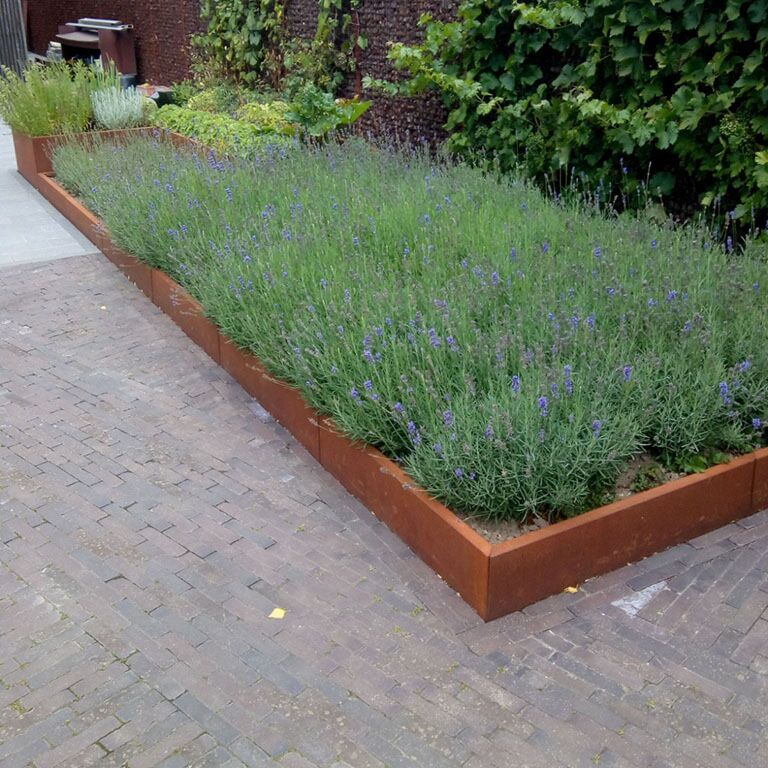 Corten plieno atraminė sienelė tiesus 200 cm (aukštis 30 cm)