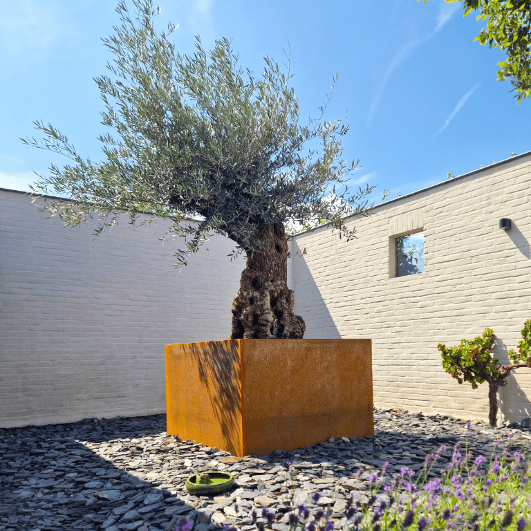 Suvirintas corten plieno lauko vazonas Montana 120 x 120 x 80 cm