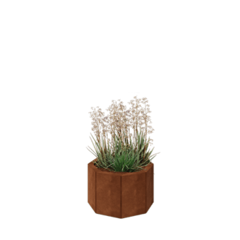 Corten plieno lauko vazonas - Aštuonkampis - 48,3 x 48,3 x 30 cm - Su dugno plokšte