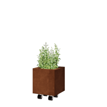 Corten plieno lauko vazonas - Kvadratas - 30 x 30 x 30 cm - Su dugno plokšte - Su ratais