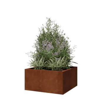 Corten plieno lauko vazonas - Kvadratas - 60 x 60 x 30 cm - Su dugno plokšte