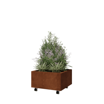 Corten plieno lauko vazonas - Kvadratas - 60 x 60 x 30 cm - Su dugno plokšte - Su ratais