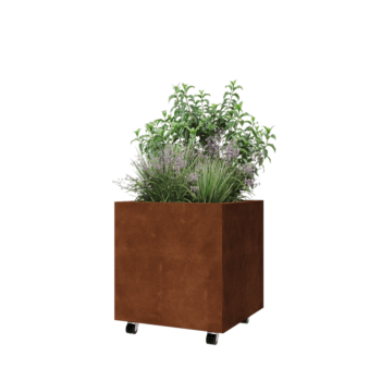 Corten plieno lauko vazonas - Kvadratas - 60 x 60 x 60 cm - Su dugno plokšte - Su ratais