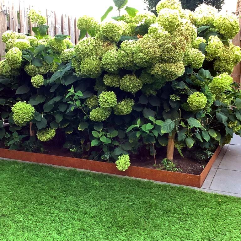 Corten plieno sodo apvadai suplotas 13 cm (ilgis 150 cm)