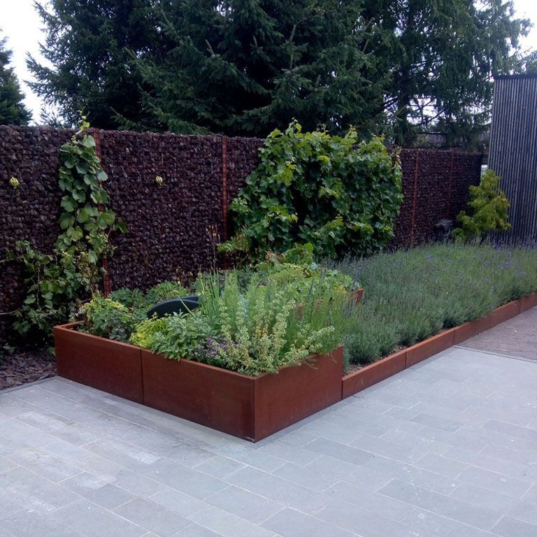 Corten plieno atraminė sienelė tiesus 100 cm (aukštis 30 cm)