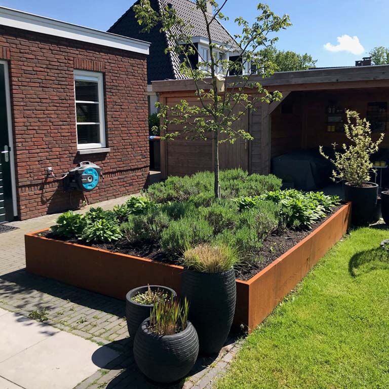 Corten plieno atraminė sienelė tiesus 100 cm (aukštis 50 cm)