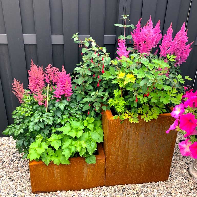 Corten plieno lauko vazonas Majamio specialusis II 80