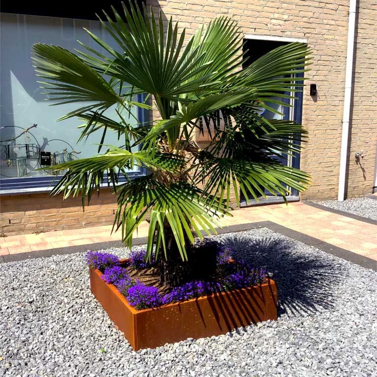 Corten plieno lauko vazonas Miami 100 x 100 cm