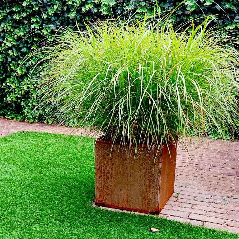 Corten plieno lauko vazonas Miami 40 x 40 cm