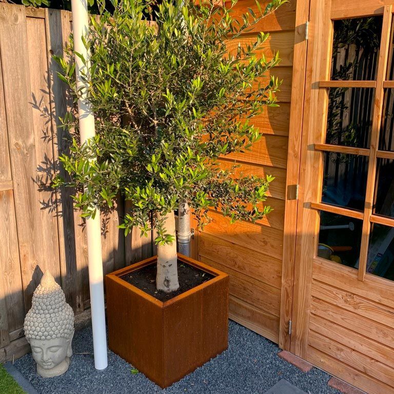 Corten plieno lauko vazonas Miami 50 x 50 cm