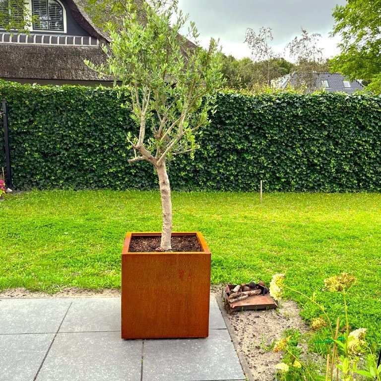 Corten plieno lauko vazonas Miami 60 x 60 cm