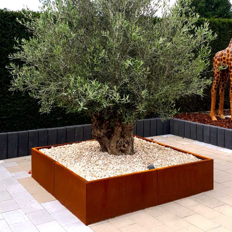 Corten plieno lauko vazonas Miami xxl 160 x 160 cm