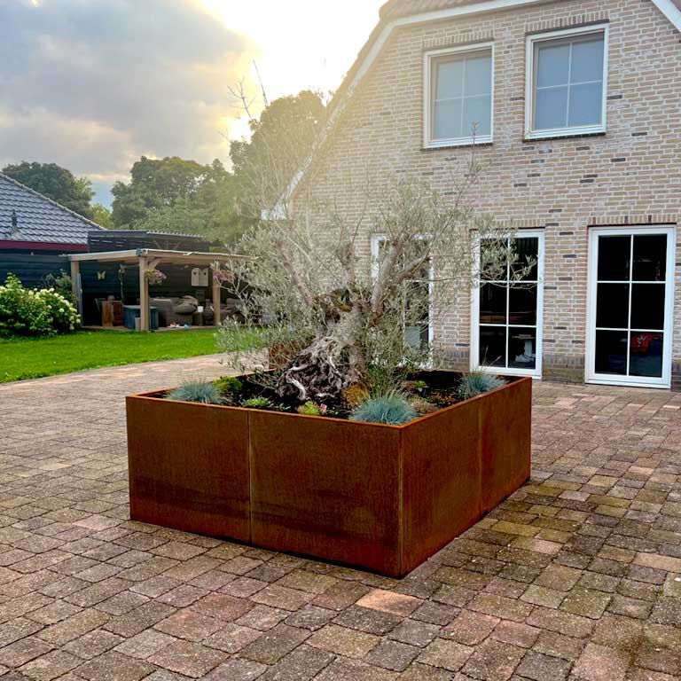 Corten plieno lauko vazonas Miami xxl 240 x 240 cm