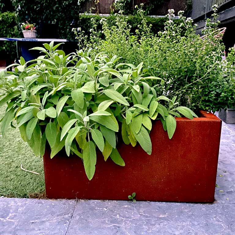 Corten plieno lauko vazonas Texas 50 x 60 cm