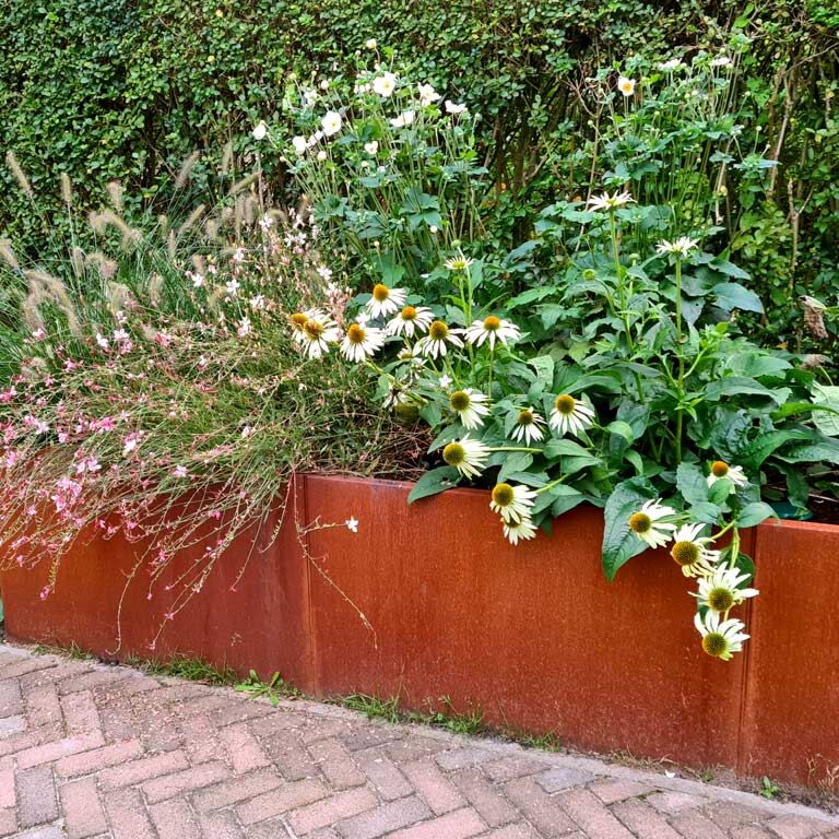 Corten plieno lauko vazonas Texas xxl 300 x 80 cm