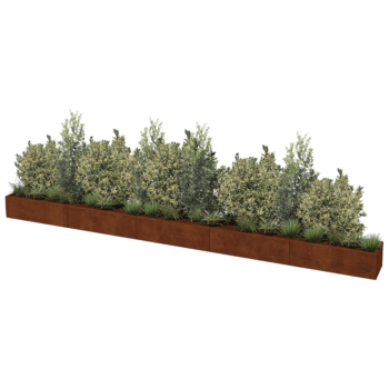 Corten plieno lauko vazonas Texas xxl 500 x 40 cm