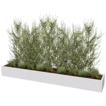 Milteliniu būdu dengtas plieninis lauko vazonas Texas xxl 300 x 50 cm