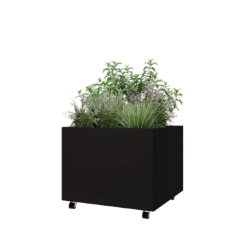 Plieninis lauko vazonas - Kvadratas - 80 x 80 x 60 cm - RAL9005 matinė (juoda) - Su dugno plokšte - Su ratais