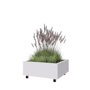 Plieninis lauko vazonas - Kvadratas - 80 x 80 x 30 cm - RAL9010 matinė (balta) - Su dugno plokšte - Su ratais