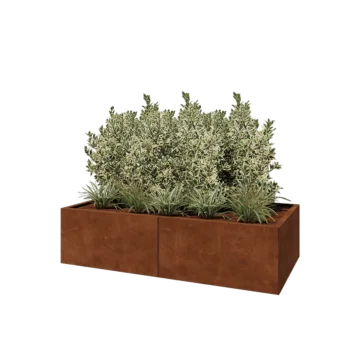 Corten plieno lauko vazonas XXL - Stačiakampis - 160 x 80 x 40 cm - Su dugno plokšte