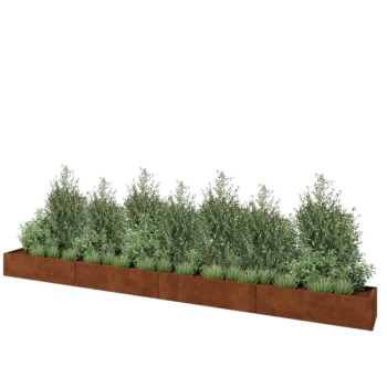 Corten plieno lauko vazonas XXL - Stačiakampis - 480 x 40 x 30 cm - Su dugno plokšte