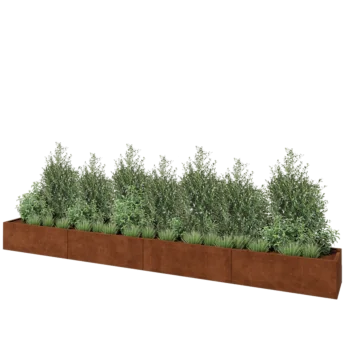 Corten plieno lauko vazonas XXL - Stačiakampis - 480 x 50 x 40 cm - Su dugno plokšte