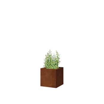 Corten plieno lauko vazonas - Kvadratas - 30 x 30 x 30 cm - Be dugno plokštės
