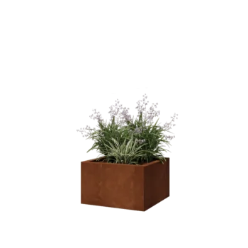 Corten plieno lauko vazonas - Kvadratas - 50 x 50 x 30 cm - Su dugno plokšte