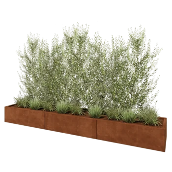 Corten plieno lauko vazonas XXL - Stačiakampis - 300 x 50 x 30 cm - Su dugno plokšte