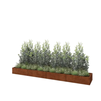 Corten plieno lauko vazonas XXL - Stačiakampis - 400 x 60 x 30 cm - Su dugno plokšte