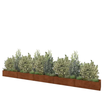Corten plieno lauko vazonas XXL - Stačiakampis - 500 x 40 x 30 cm - Su dugno plokšte