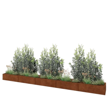 Corten plieno lauko vazonas XXL - Stačiakampis - 500 x 50 x 30 cm - Su dugno plokšte