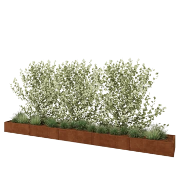 Corten plieno lauko vazonas XXL - Stačiakampis - 500 x 60 x 30 cm - Su dugno plokšte