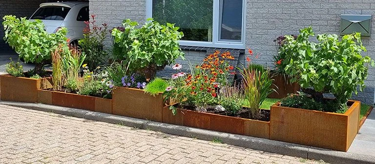 Augalų dėžės įrengimas: smagiausios idėjos
