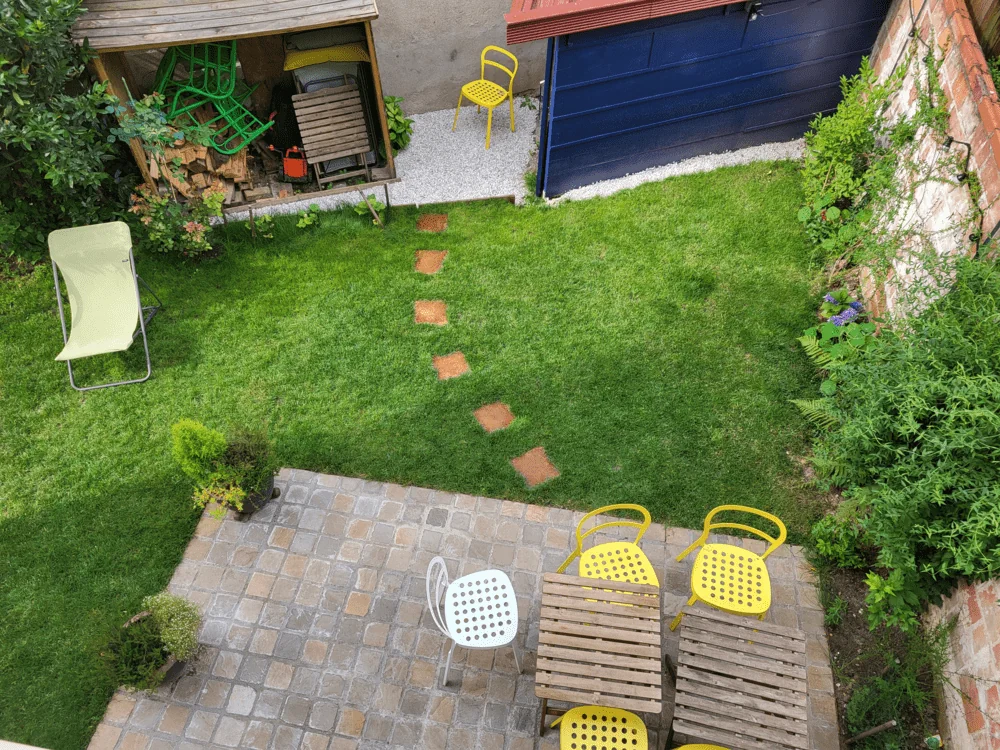 Kokios augalai geriausiai tinka aplink [PLACEHOLDER_] laiptelius?